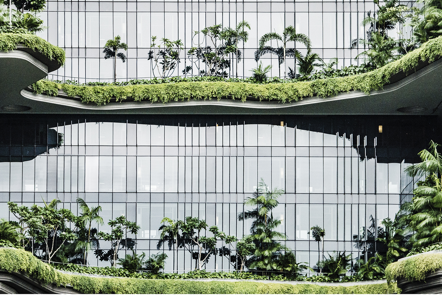 Download_Image_DKSH+Sustainability+Report+2021_20220707 (1).jpg