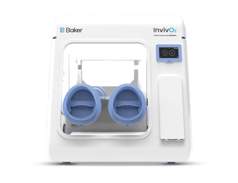 Invivo-300-copy-768x591.jpg